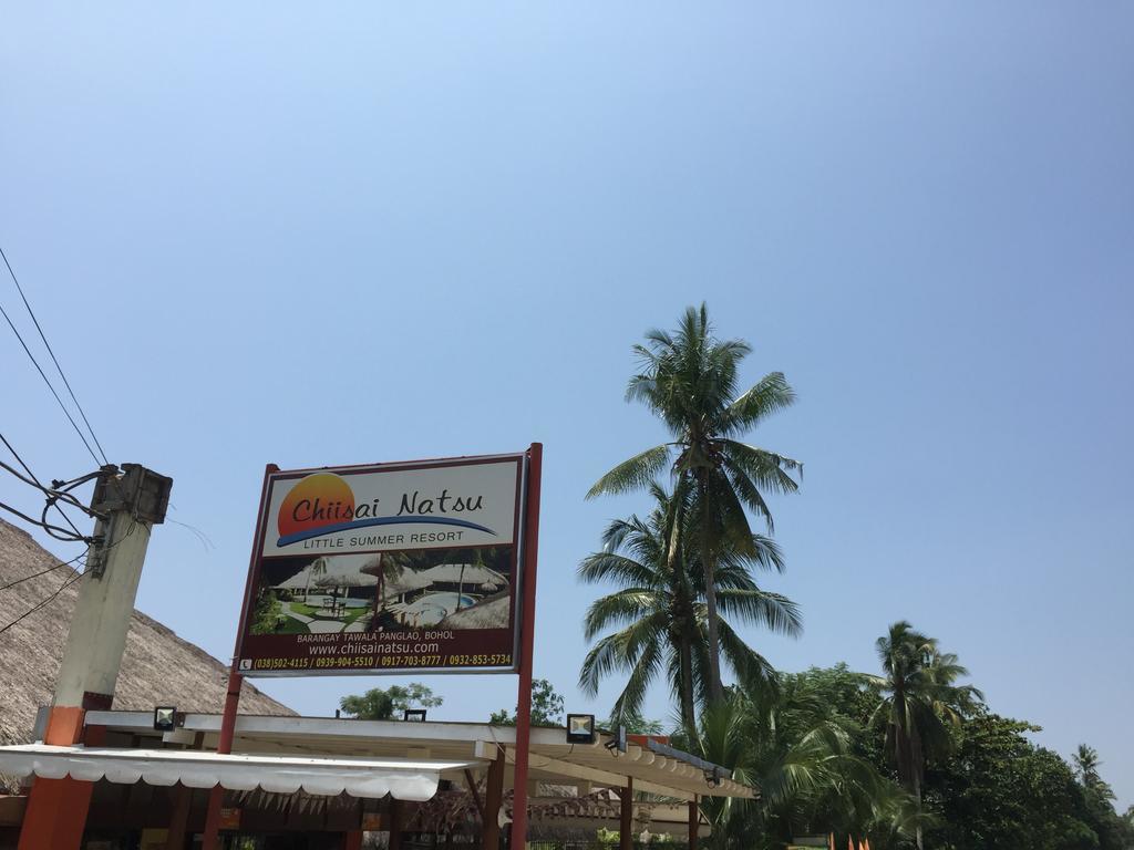 Chiisai Natsu Resort Bohol Ngoại thất bức ảnh