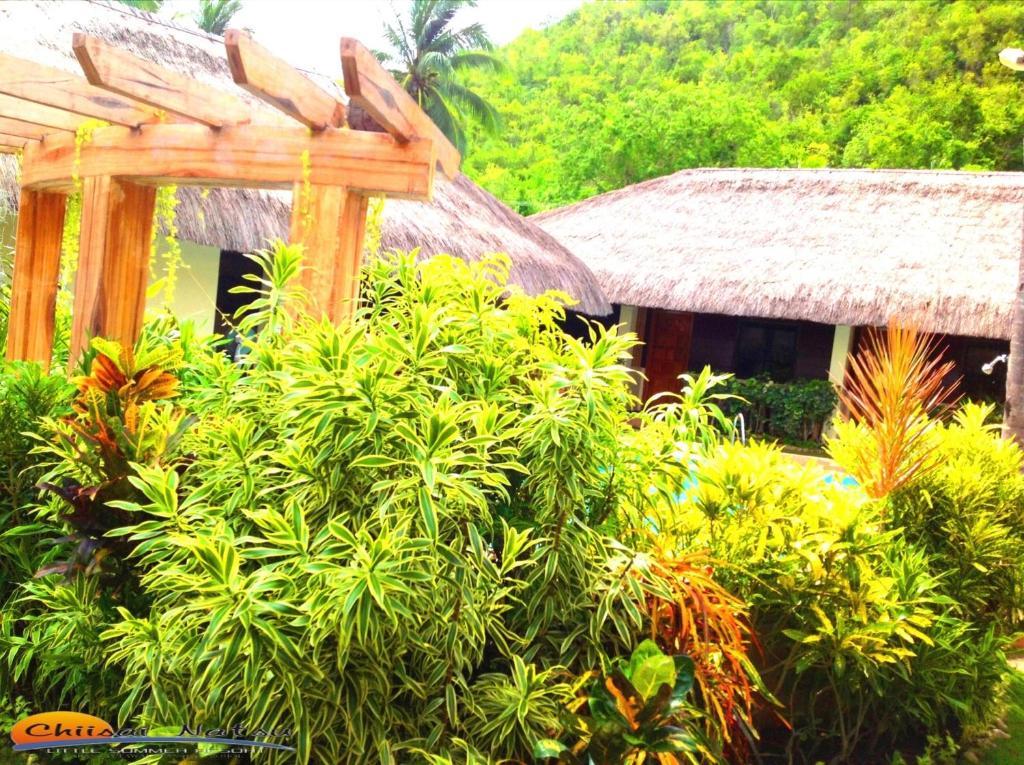 Chiisai Natsu Resort Bohol Ngoại thất bức ảnh