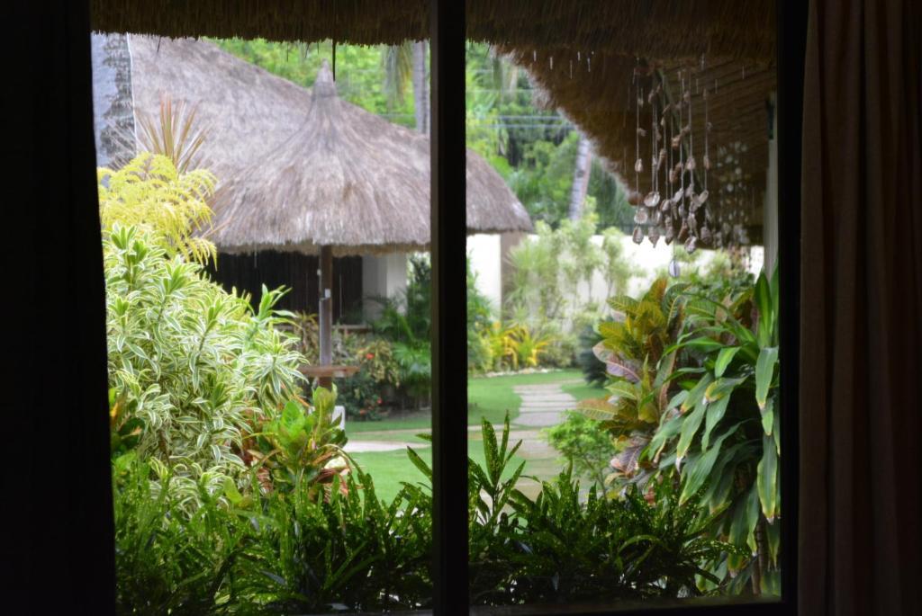 Chiisai Natsu Resort Bohol Phòng bức ảnh