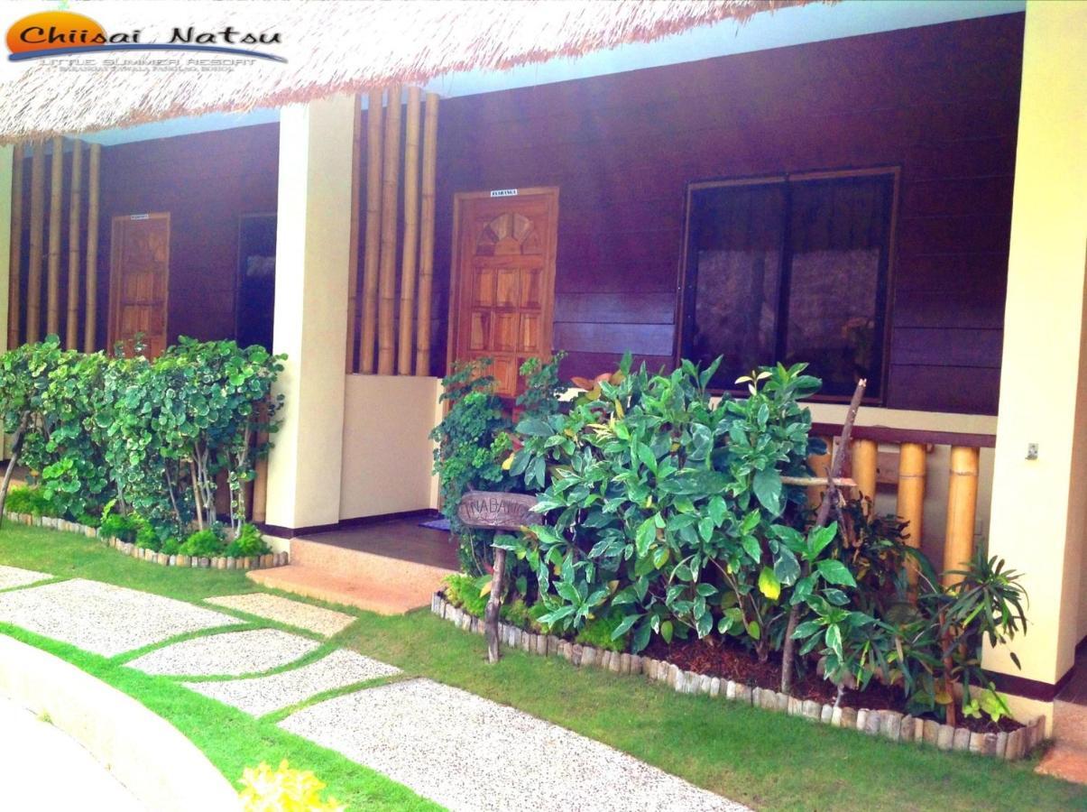 Chiisai Natsu Resort Bohol Ngoại thất bức ảnh