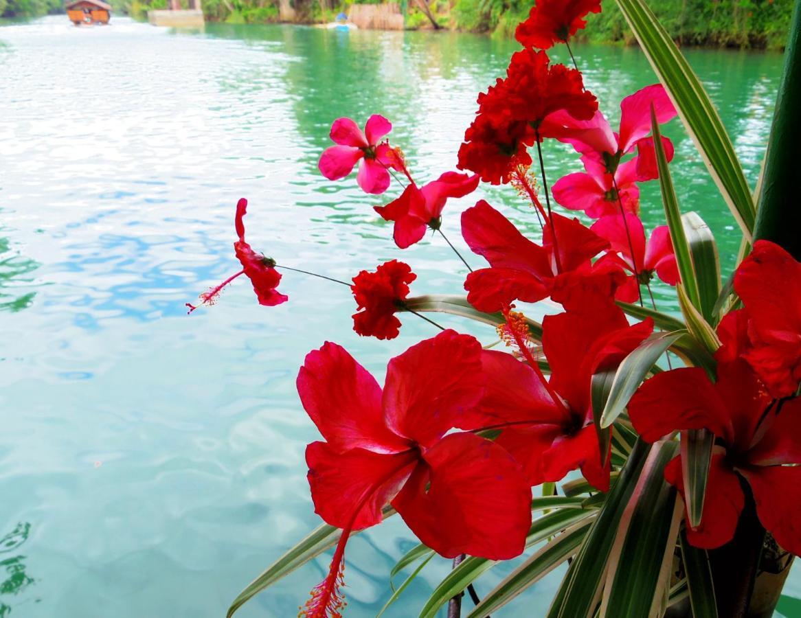 Chiisai Natsu Resort Bohol Ngoại thất bức ảnh