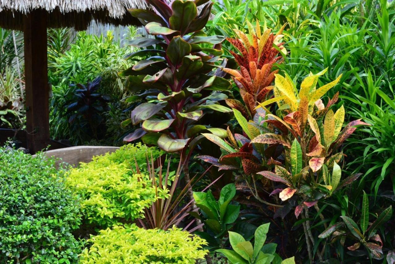 Chiisai Natsu Resort Bohol Ngoại thất bức ảnh